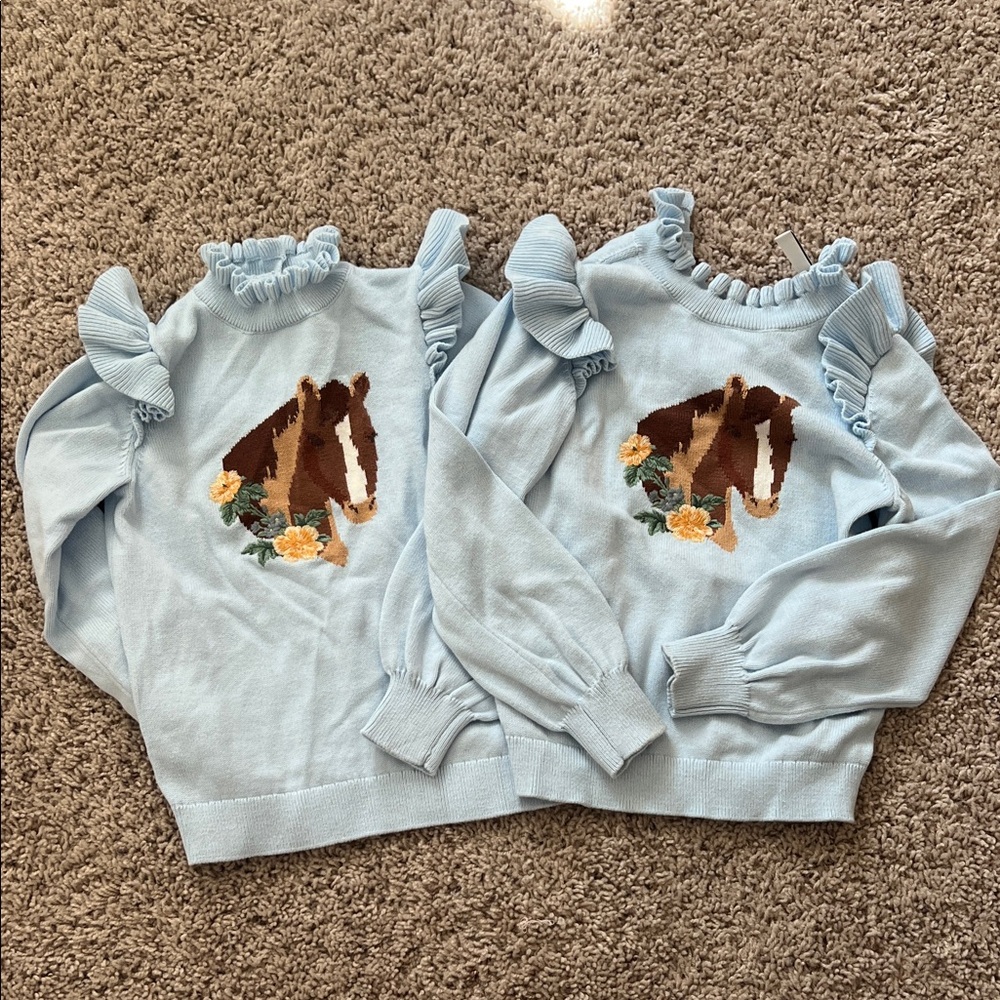 Janie and Jack Light Blue Horse Sweater and leggings for twins size 5